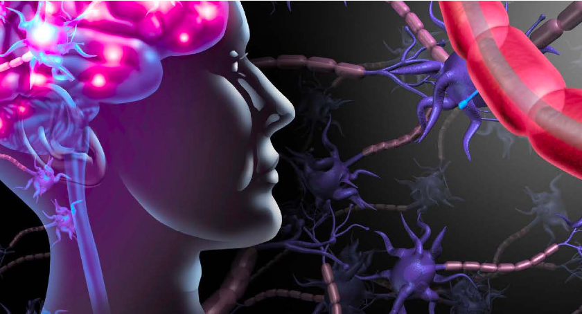A First-of-Its-Kind Human Study Suggests Mental Well-Being May Start in the Gut